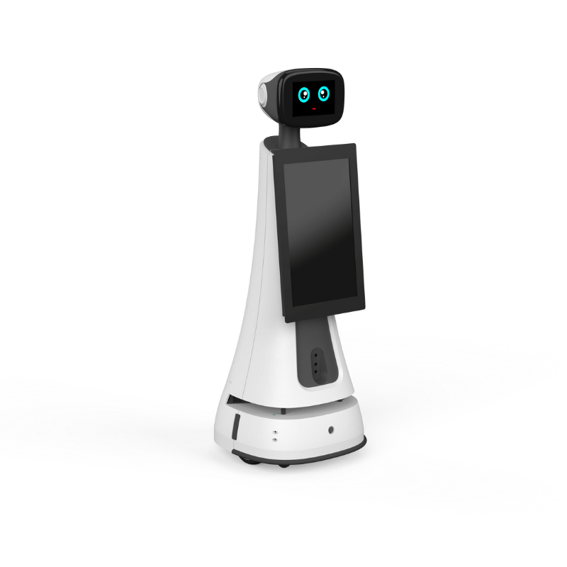 Welcome and Intelligent Voice-Guided Tour Robot