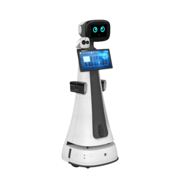 Welcome and Intelligent Voice-Guided Tour Robot