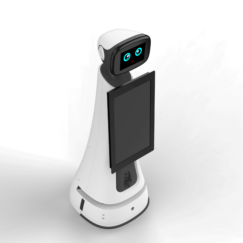 Welcome and Intelligent Voice-Guided Tour Robot