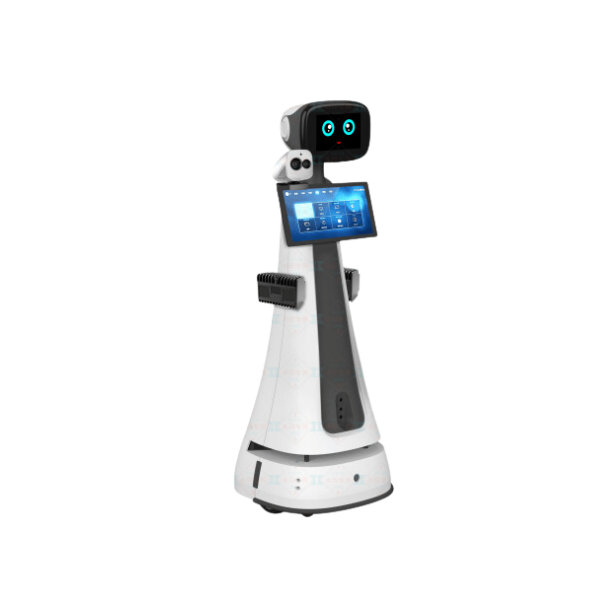 Welcome and Intelligent Voice-Guided Tour Robot