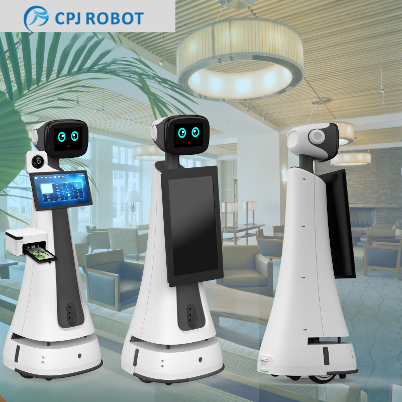 Reception robots